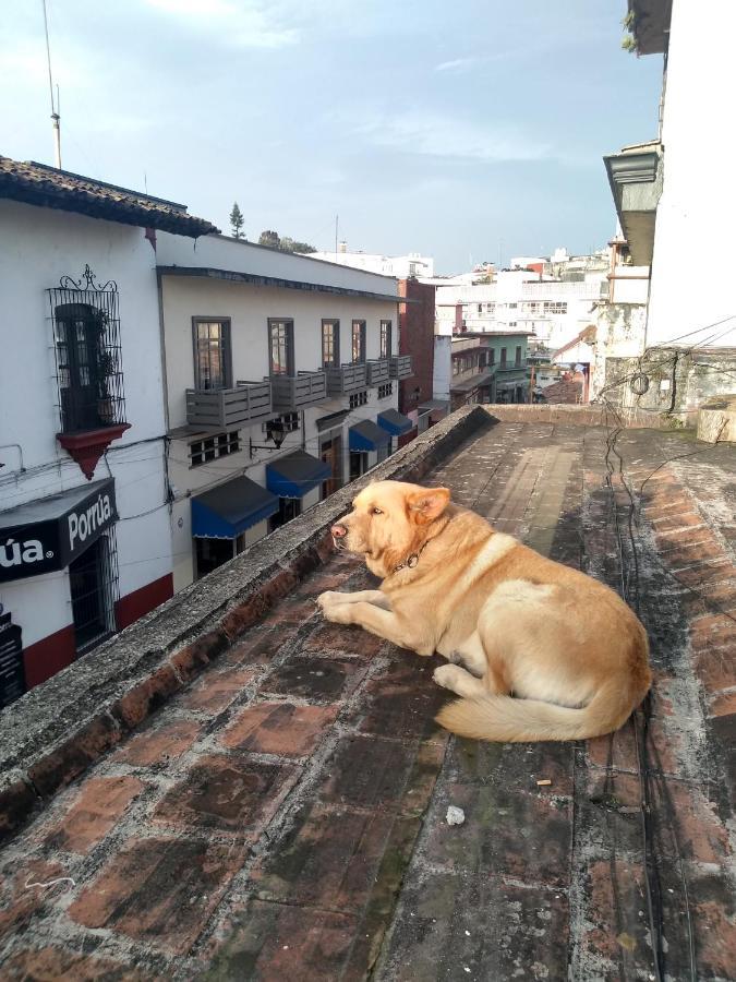 Hostal 50 Xalapa Exterior photo